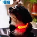 Laroo 寵物夜間散步發光燈帶（充電式）：圖片 4
