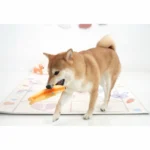 韓國🇰🇷 寵物矽膠臘腸狗啾啾玩具 - Image 4