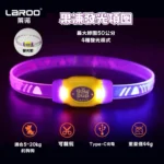 Laroo 萊諾 果凍發光項圈 中大型犬散步燈（充電款）
