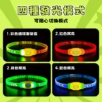Laroo 萊諾 果凍發光項圈 中大型犬散步燈（充電款） - Image 3