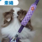 Laroo 寵物夜間散步發光燈帶（充電式）：圖片 5