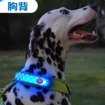 Laroo 寵物夜間散步發光燈帶（充電式）：圖片 3