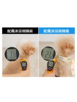 韓國 LikaLika 寵物涼感降溫頸圈：圖片 10