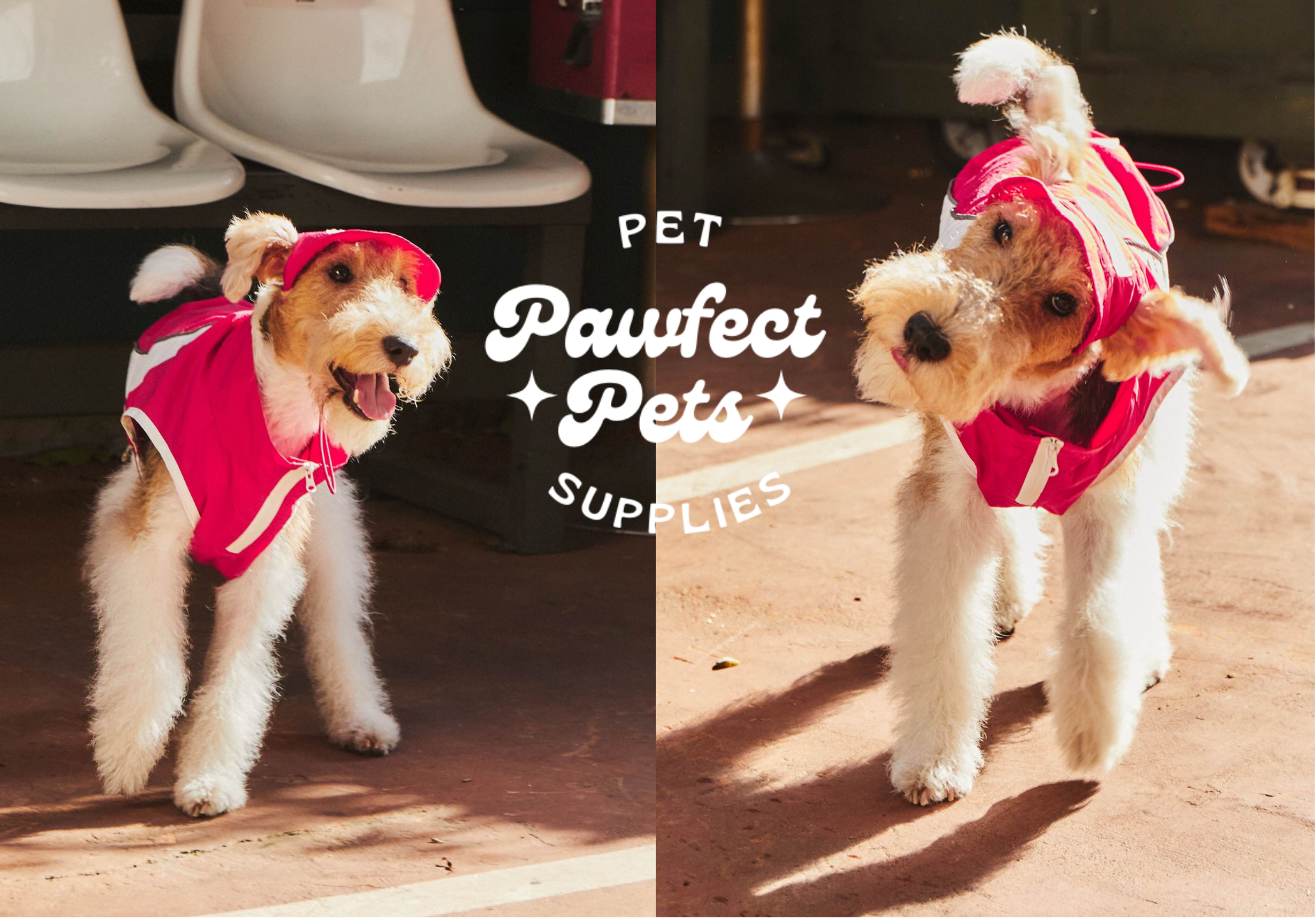 pawfectpetstw (15)