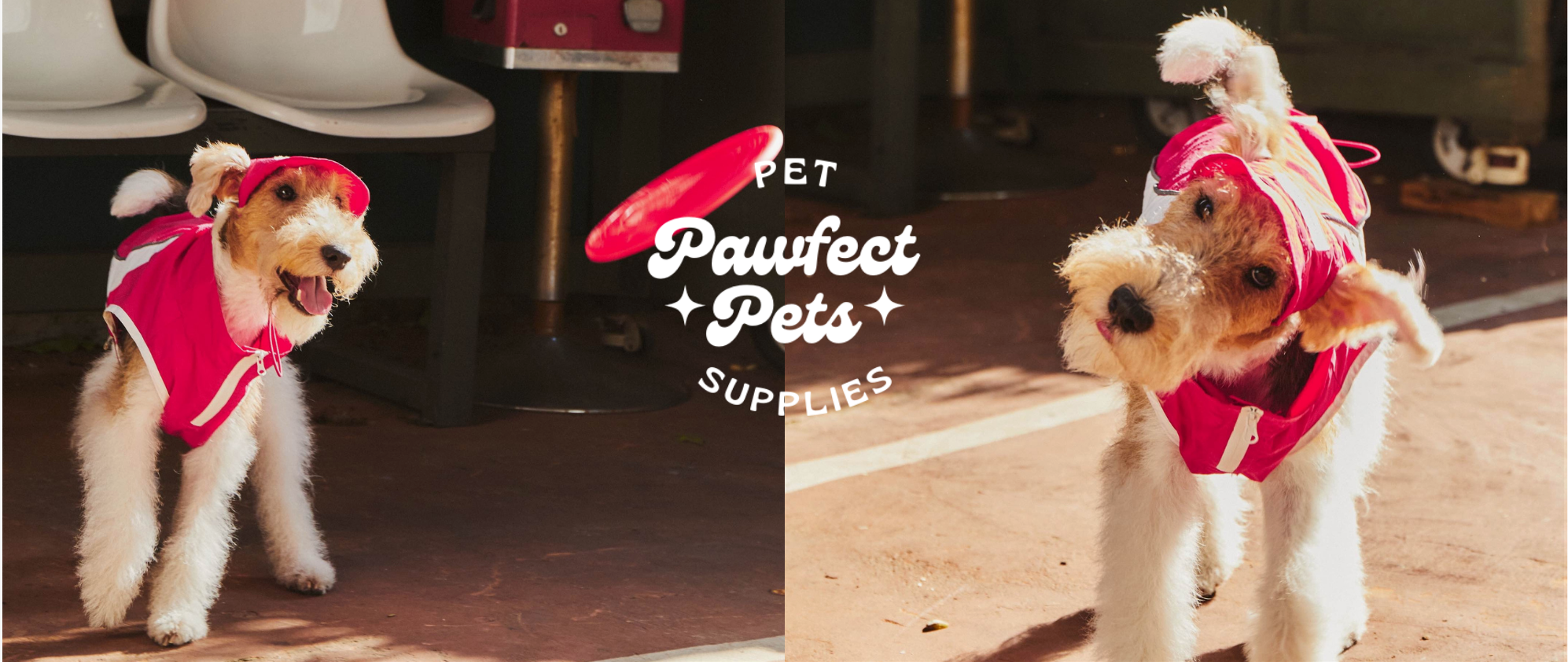 pawfectpetstw (22)