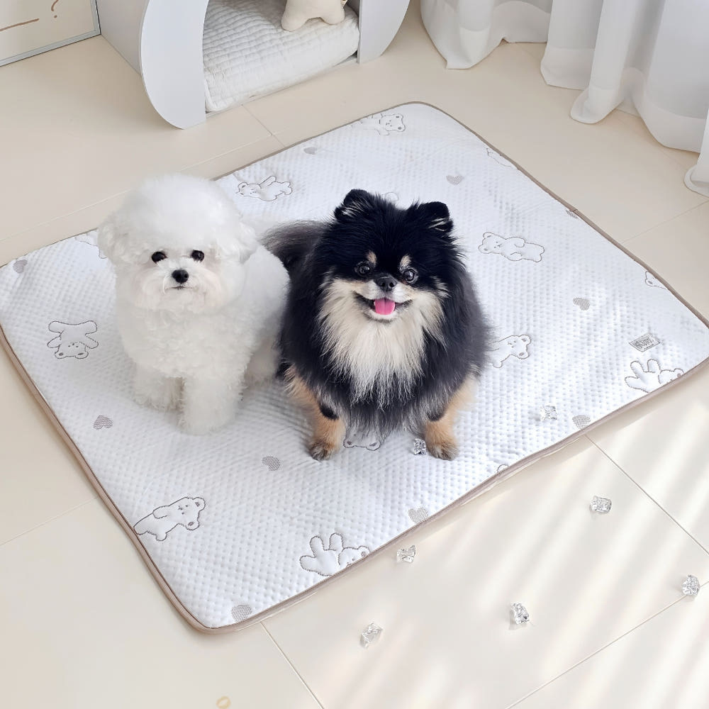 IMG_7505 🇰🇷 Dear puppy Forpe 涼感墊(有微微厚度) - Image 1